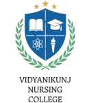 Vidyanikunj Nursing College
